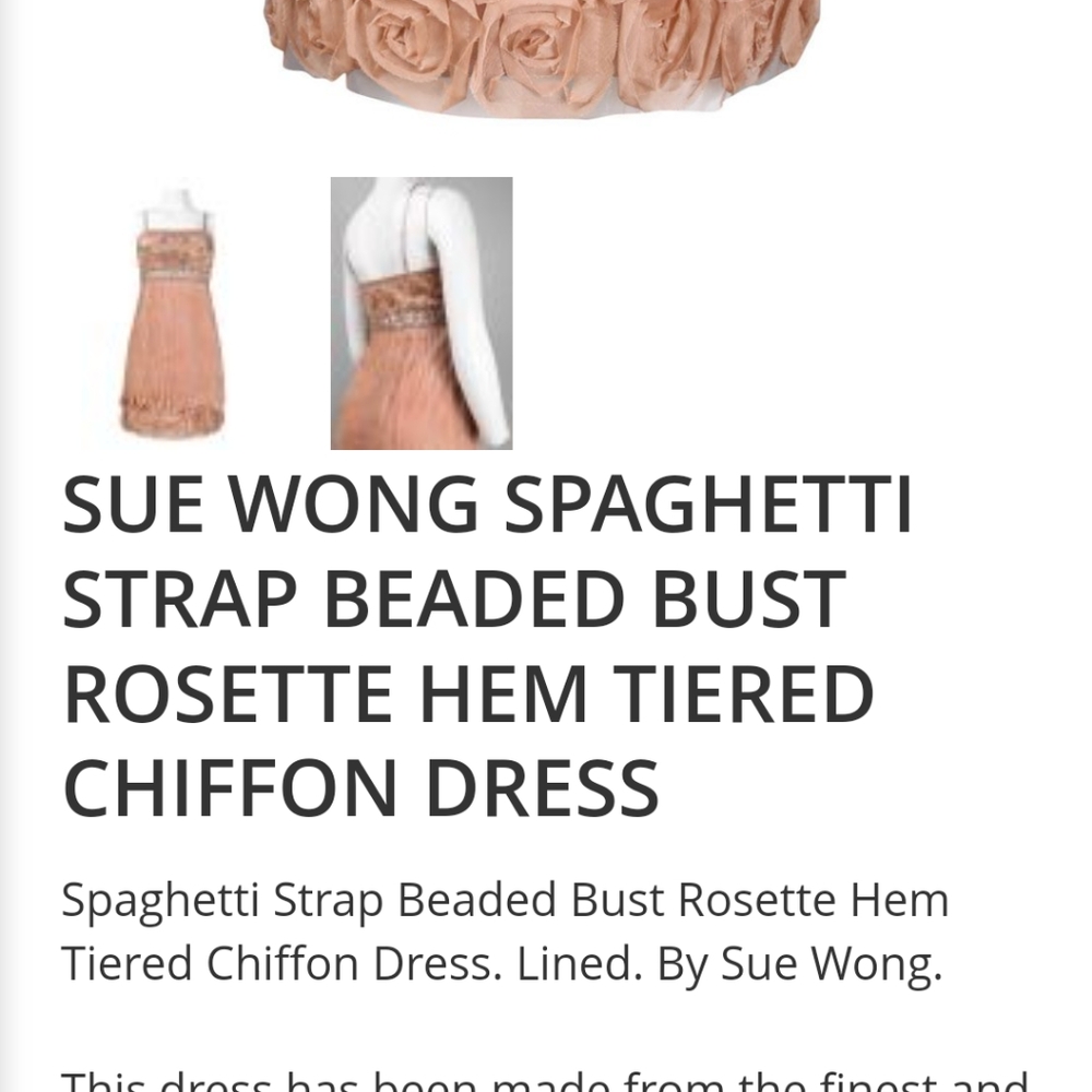 Sue Wong chiffon and beaded dress